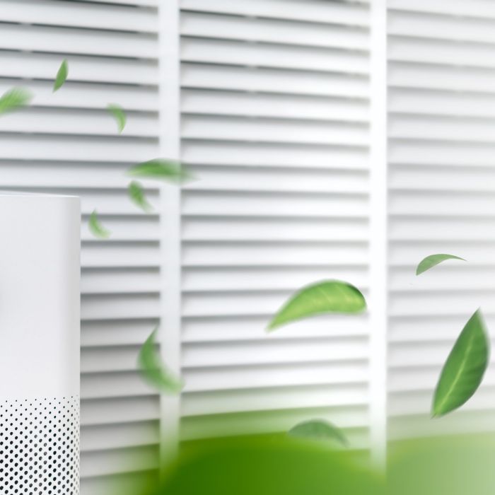 Indoor Air Quality Improvements Using Natural Materials